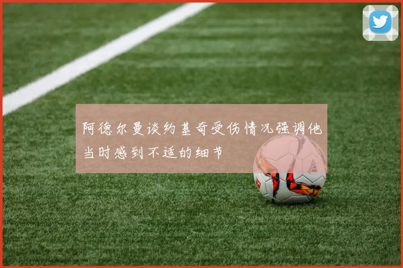 阿德尔曼谈约基奇受伤情况强调他当时感到不适的细节