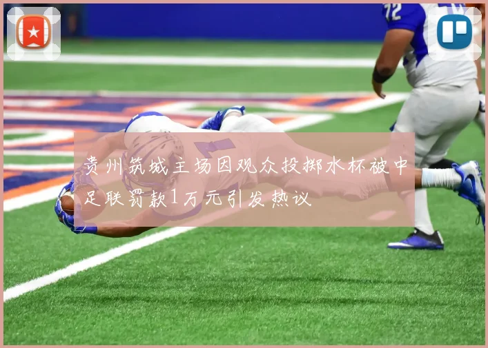贵州筑城主场因观众投掷水杯被中足联罚款1万元引发热议